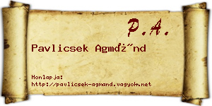 Pavlicsek Agmánd névjegykártya